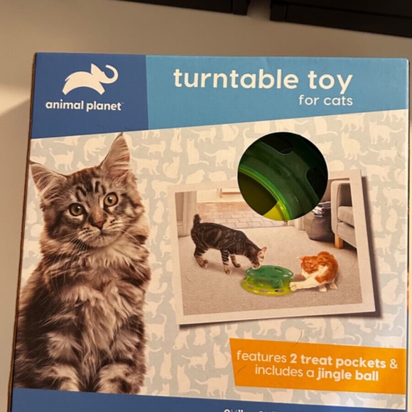 Turntable Toy For Cats- Green, Great For Playtime, Non Skid Base, Jingle Ball - Picture 3 of 5